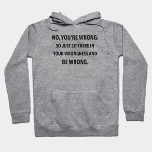 No, You're Wrong. So Just Sit There In Your Wrongness And Be Wrong. Hoodie